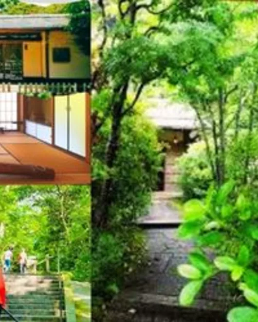 Japanese Cultural Standard Experience